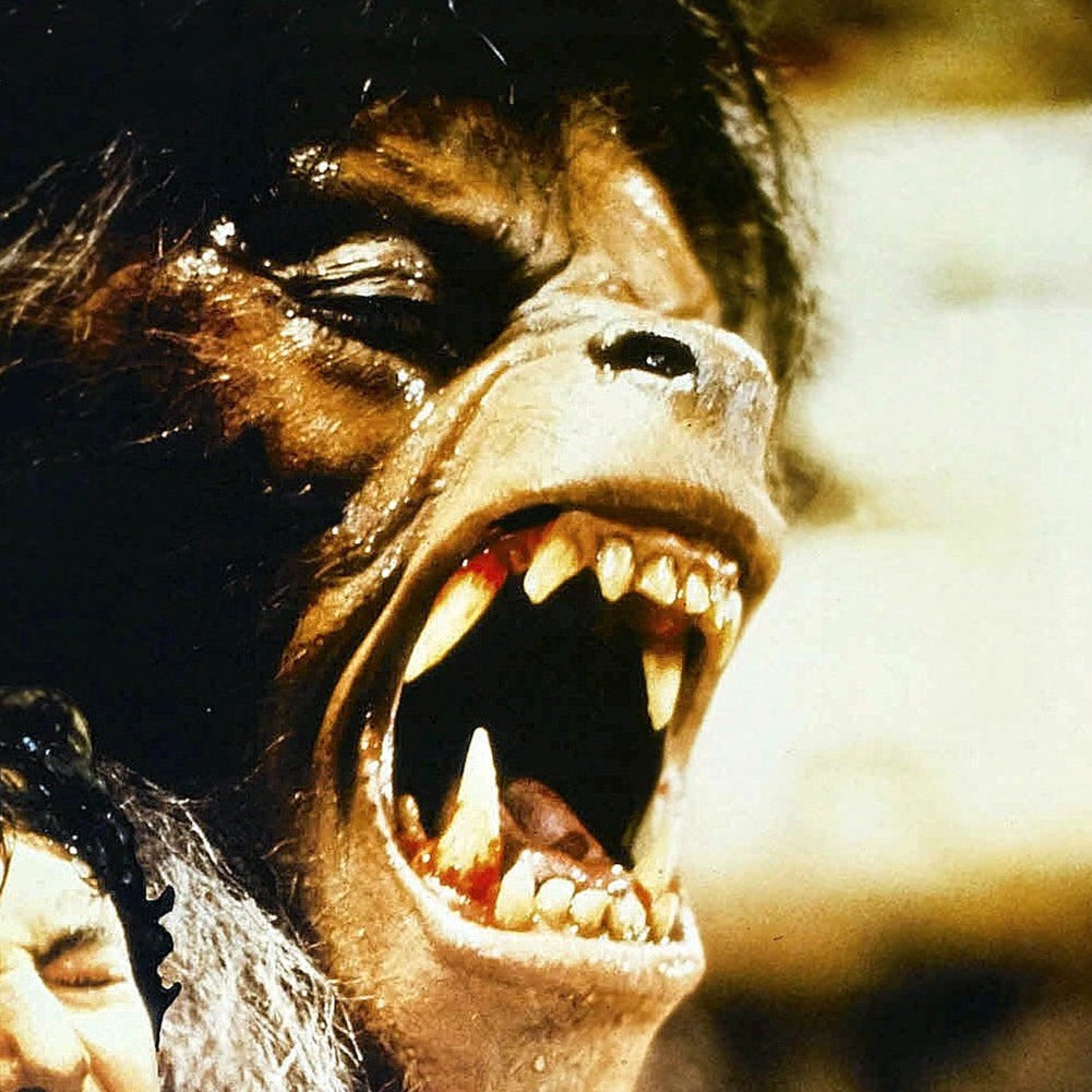 American Werewolf in London -- 11" x 17" Poster Art Print || Transformation Scene!