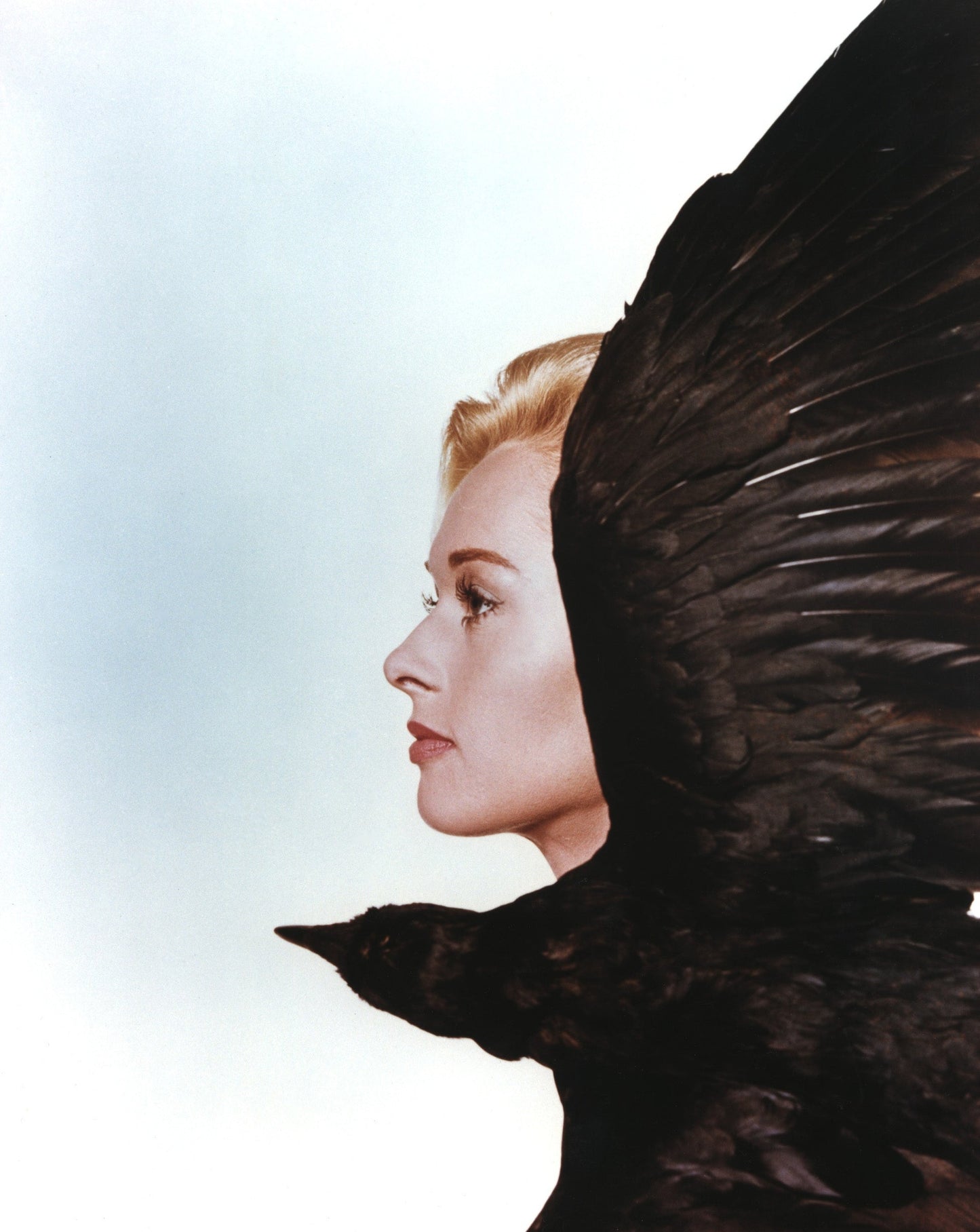 Birds, The -- 8.5" x 11" Art Print || Rod Taylor! Tippi Hedren! Veronica Cartwright! Marauding Birds Tora, Tora, Tora!