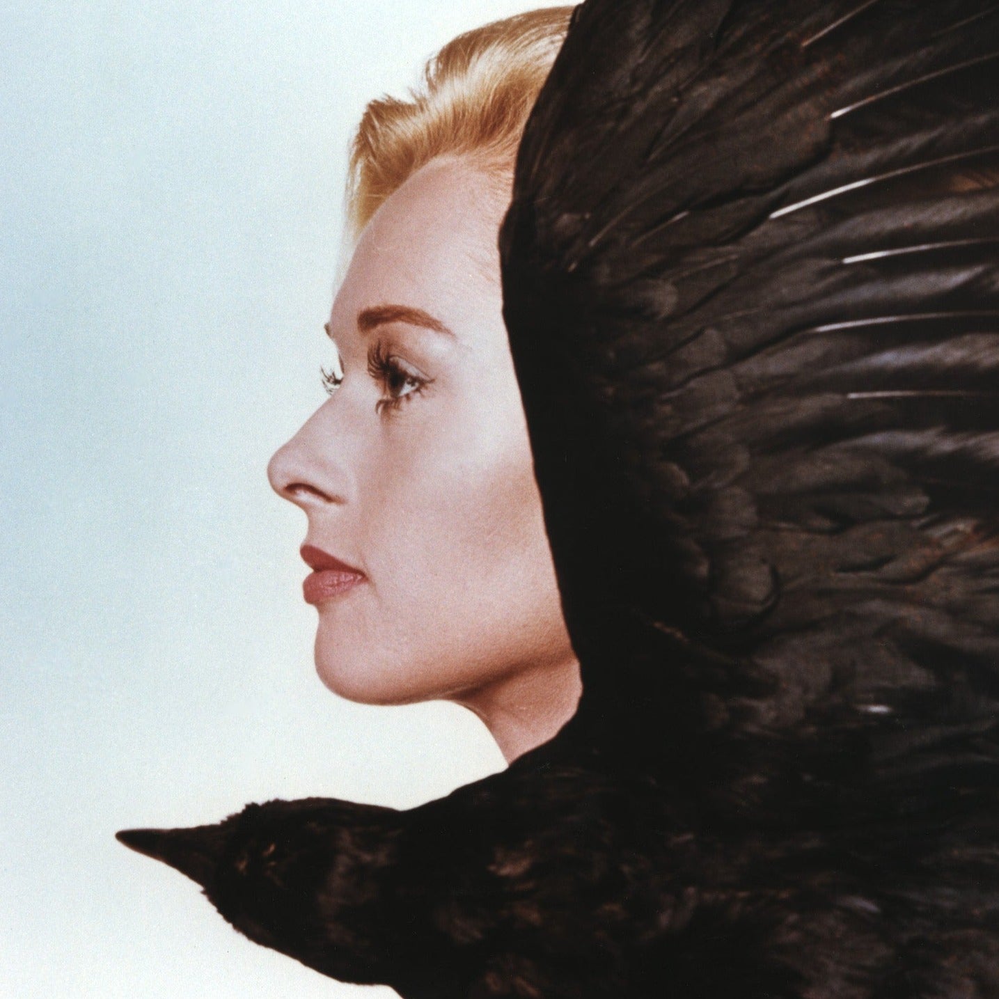 Birds, The -- 8.5" x 11" Art Print || Rod Taylor! Tippi Hedren! Veronica Cartwright! Marauding Birds Tora, Tora, Tora!