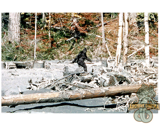 Bigfoot -- 8.5" x 11" Deluxe Art Print || The Most Famous Cryptid in History!