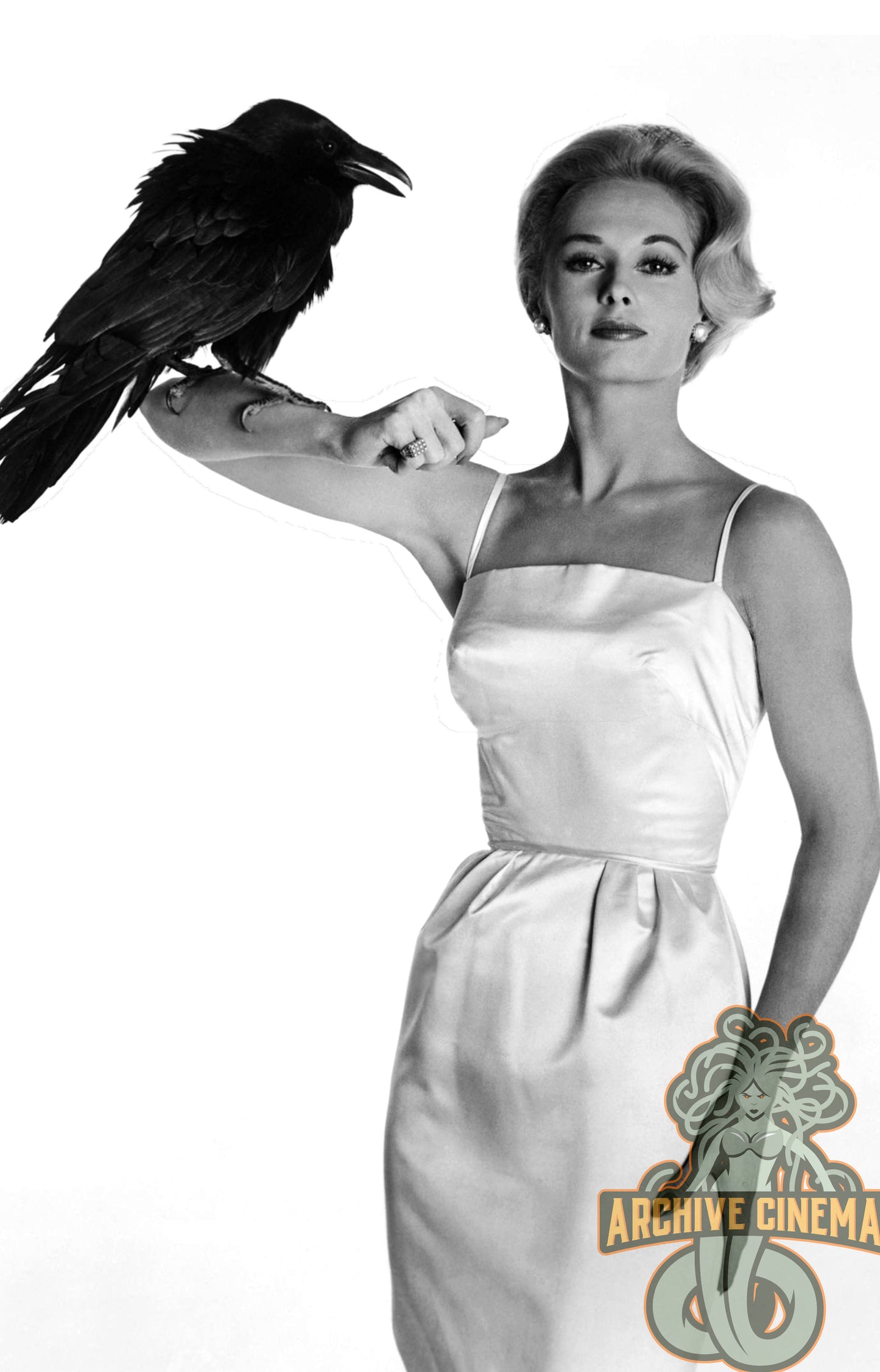 Birds, The -- 11" x 17" Poster Art Print w/ Tippi Hedren!