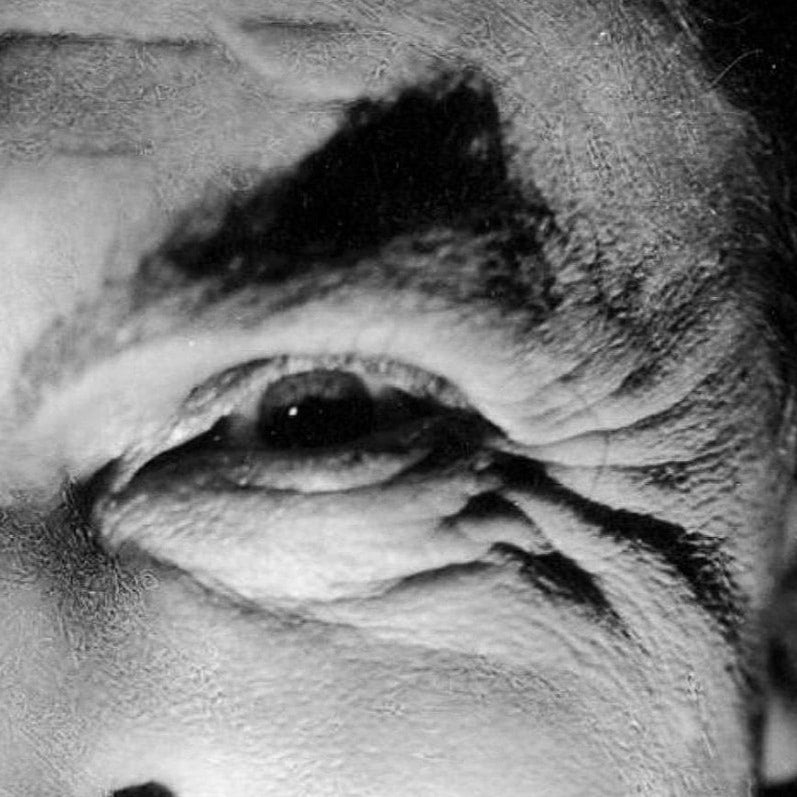 Bela Lugosi -- 8.5" x 11" Art Print || Count Dracula in Terrifying Close-Up!