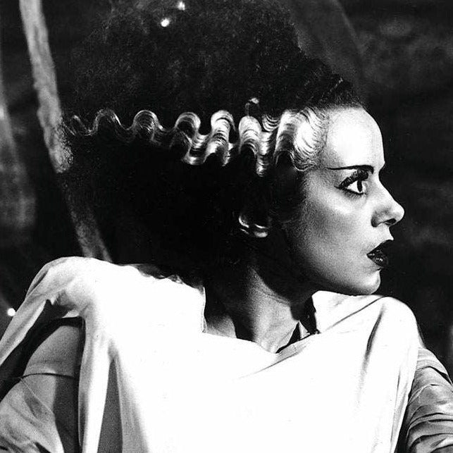 Bride of Frankenstein -- 8.5" x 11" Deluxe Art Print || The Bride & the Monster!