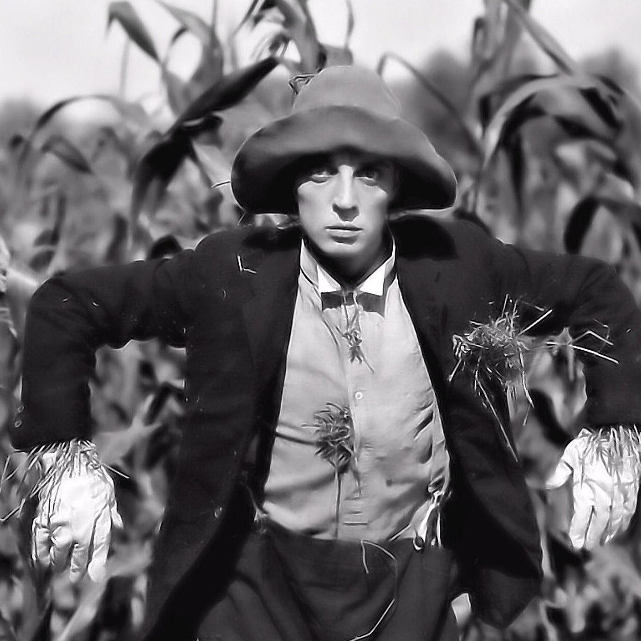 Buster Keaton -- Deluxe 8.5" x 11" Wall Art Print | Buster Keaton as Scarecrow! His Faithful Pitbull Awaits!